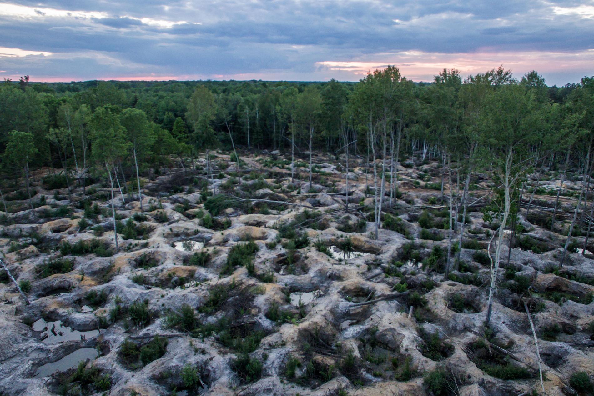 Dubrovitsa, illegal amber mining